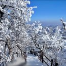 ▣ 강능:- 새해에 떠나보는 4대명산 탐방 & 첫째날:- 오대산설경 이미지