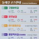 옥정 왕벚나무길 이미지