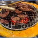 신마포갈매기 이미지