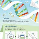 신문은 선생님 [재미있는 과학] 종이접기 하듯 DNA 접어… 암세포 발견하는 장치 만든대요 이미지