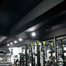 운동이끌림 이미지