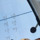 강아지 동반 가능🐾 케이블카부터 닭갈비까지! 은송이와 함께한 춘천 한바퀴