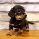 여주-0114 이미지