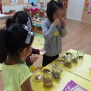 꼬마박사 어린이집 이미지