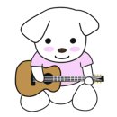 벨라뮤직