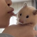 여기서지금 이미지