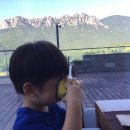 로카와 델피노2 이미지