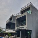 비다펠리스 이미지