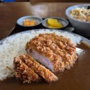 안양1번가지점(농협중앙회) | 안양 점심 혼밥 유미카츠 안양1번가점 카츠카레정식 솔직 후기 실망