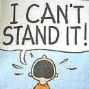 Today’s useful expression – I can’t stand ... 이미지