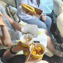 일로투어 고성 라벤더 축제 당일치기 여행 후기 2탄
