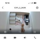 꼬모댕 프라이빗 애견호텔 이미지