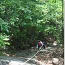 백동목장 이미지