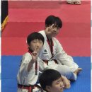 하랑태권도장 이미지