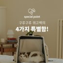카페위고위고 이미지