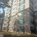 선광3호 이미지