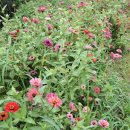 숲정경로당 이미지