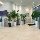 동탄본치과의원 이미지