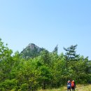 금노목장 | 진도 지력산 암릉, 빼족산 해산봉 [산행일: 2017. 4. 30]