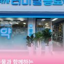 삼척종로약국 네이버블로그