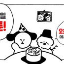오초이스 이미지