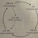본케어 운동센터 이미지