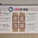 강남박생태찌개(2호점)