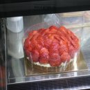 1253타르트 이미지