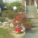 정가네 민박 이미지