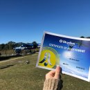 호주 바이런베이 스카이다이빙 추천 : Skydive Byron Bay 후기, 가격