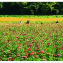 황남초등학교 이미지