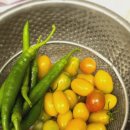 명품드림 이미지