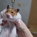 한마음종합동물병원 이미지