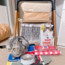 벼리사이언스 이미지