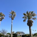 썬시티게스트하우스 이미지