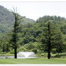 용평 버치힐골프클럽 이미지