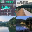 봉화산코스 | 야경 산책 명소 &#34;미평 봉화산 산림욕장&#34; 현지인 추천 맨발걷기 피크닉 후기(주차/이용시간/이용료/산책...