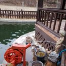 시실리 | 강원도 평창여행 10만원대 공기좋은 힐링여행 찐가성비 숙소 추천 시실리 펜션 내돈내산 솔직 후기