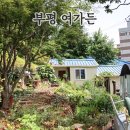 부평 사회적협동조합 도시농부꽃마당 여가든 and 파머컬쳐 허브정원