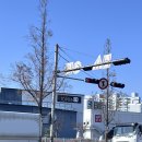 송림초교 | [포항] 두바이 쫀득쿠키로 유명한 포스쿠 내돈내산 후기