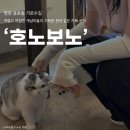 호노보노 | [창원] 가로수길 예쁜 카페 3마리의 고양이가 함께 하는 고양이카페 '호노보노' 솔직한 방문 후기