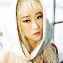 퓨어킴 카카오 검색결과
