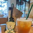 해피사이렌 | 스타벅스 해피 땡스데이 베어리스타 네임택 구매후기 ☕️🧸