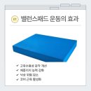 물리치료사가 알려주는 셀프 통증관리 | 🧠 〔Physio Duo〕 물리치료사가 알려주는 뇌졸중 환자 재활 밸런스패드 운동법