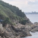 다인 행정사사무소 이미지