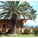 써니데이제주 이미지