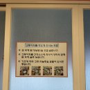 미영이네식당 [제주] <b>미영이네</b> 못지 않은 '만선<b>식당</b>' 고등어회+딱새우회 세트