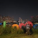 광교호수로-1 Daum카페