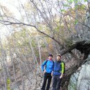 웰빙로 | 회동저수지 산책로(2011. 11. 27)