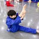 혜성태권도 이미지